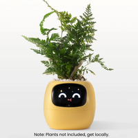 SPROUTSY -  AI smart planter