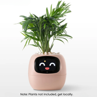 SPROUTSY -  AI smart planter