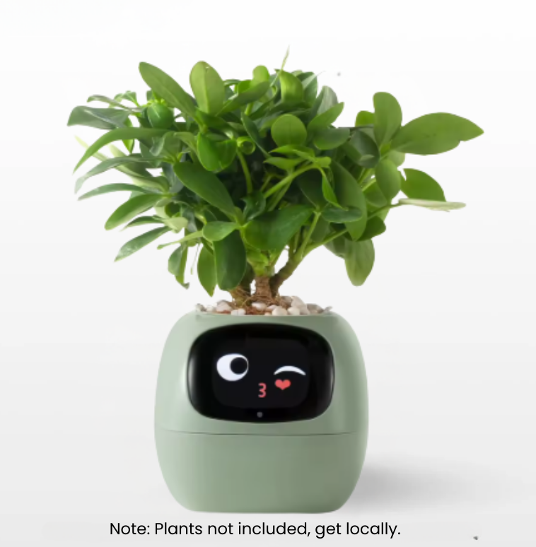 Sproutsy - Ai Smart Planter