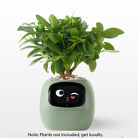 SPROUTSY -  AI smart planter